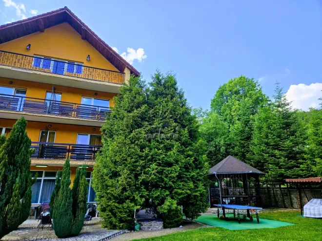 Vila RALUCA