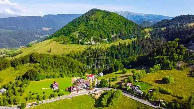 Cabana CHALET VALEA URDII