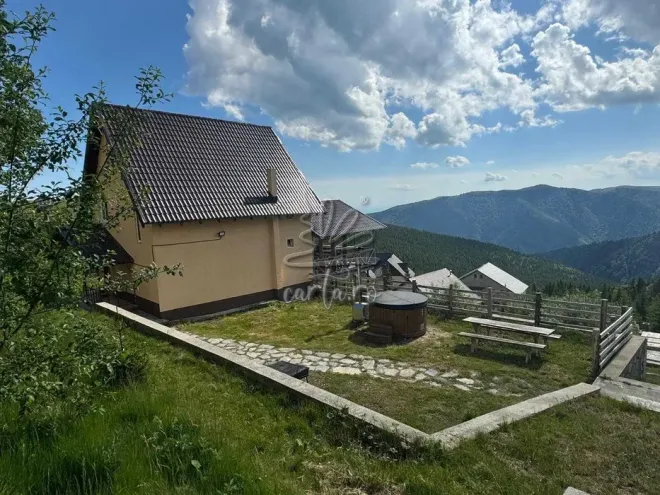 Casa de Vacanță LUPUL DACIC