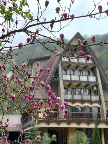 Pensiunea CASA VÂNĂTORILOR